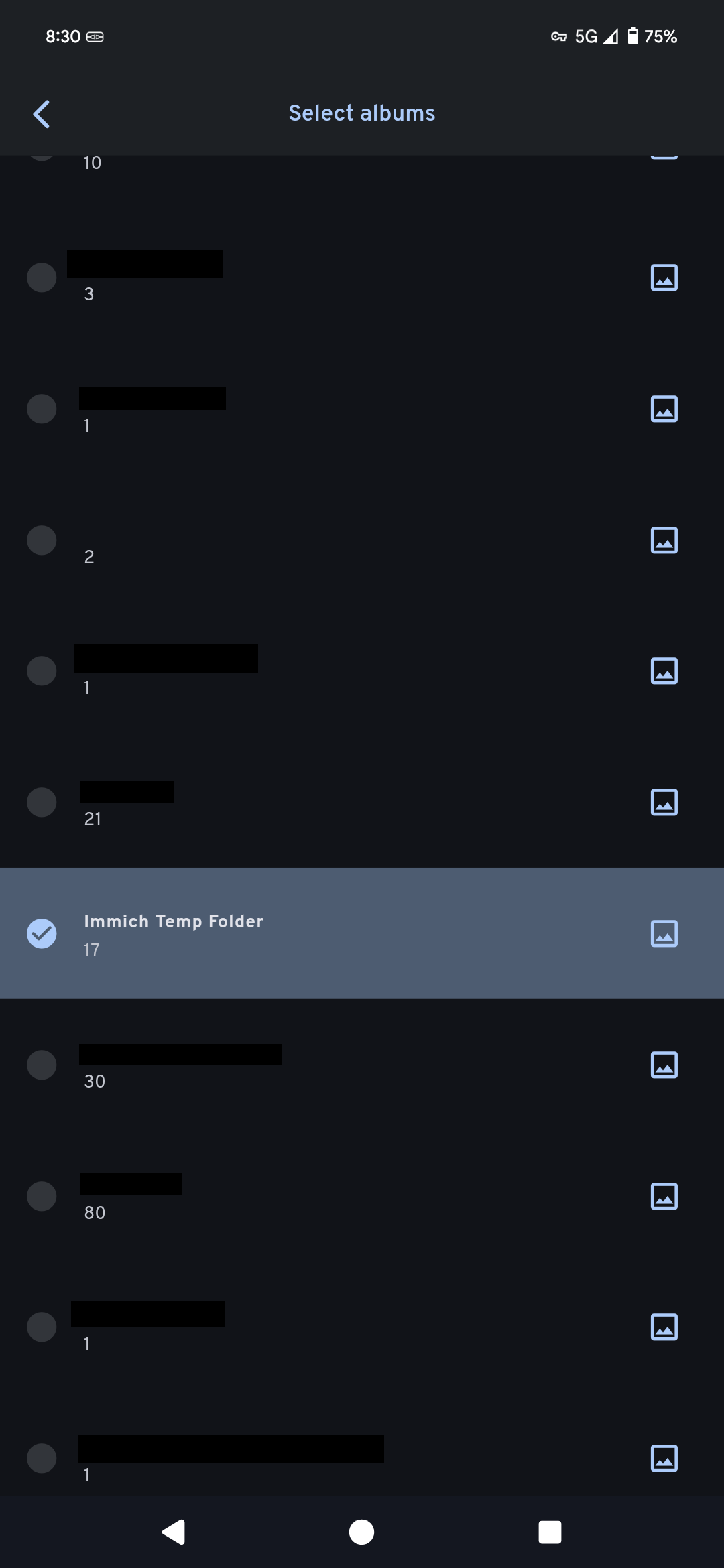 Immich App Album Sync