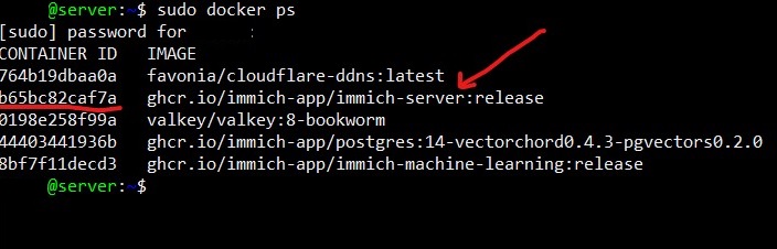 Immich Container ID
