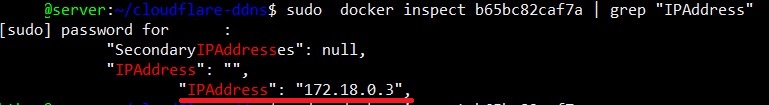 Immich Container IP