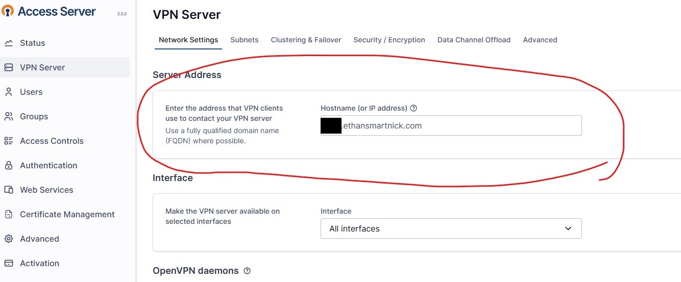 OpenVPN Server Address